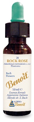 BENOIT FIORI DI BACH ROCK ROSE