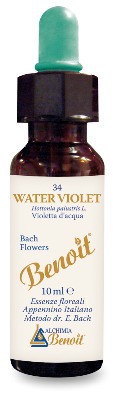 BENOIT FIORI DI BACH WATER VIO