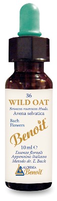 BENOIT FIORI DI BACH WILD OAT