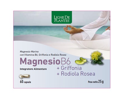 MAGNESIO B6+GRIFFONIA+RO 60CPS