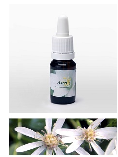 ASTER 7,89G