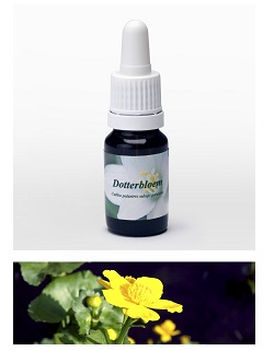 CALTA PALUSTRE 7,89G
