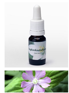 LICNIDE 7,89G