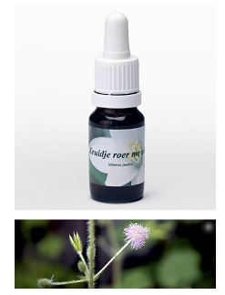 MIMOSA PUDICA 7,89G