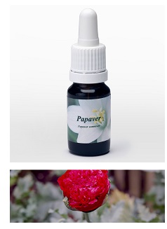 PAPAVERO 7,89G