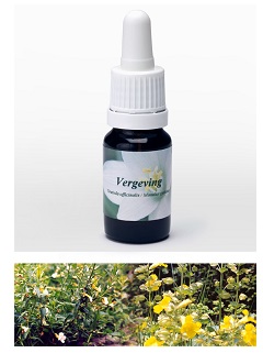 PERDONO 7,89G