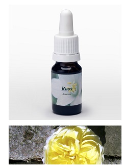 ROSA 7,89G