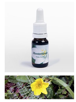 TRIBULUS TERRESTRIS 7,89G