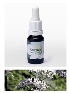 VALERIANA 7,89G