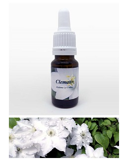 VITALBA 7,89G