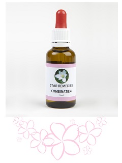 COMBINAZIONE 4 23,67G