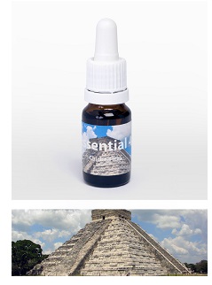 CHICHEN ITZA' 23,67G