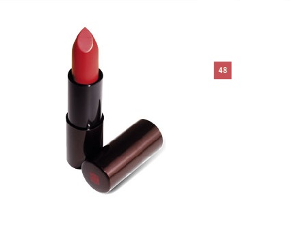 ANNAYAKE ROUGE A LEVRES DISC48