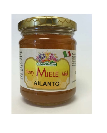 MIELE DI ALIANTO 250G