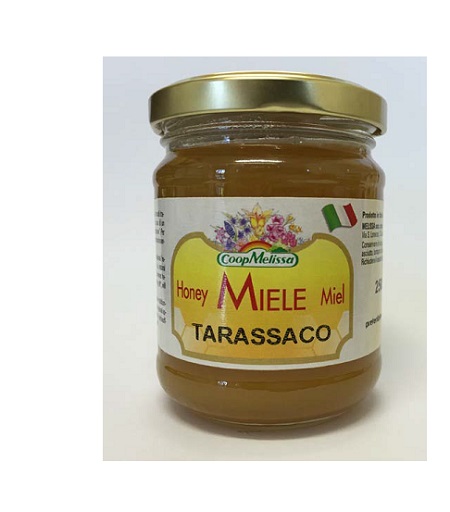 MIELE DI TARASSACO 250G