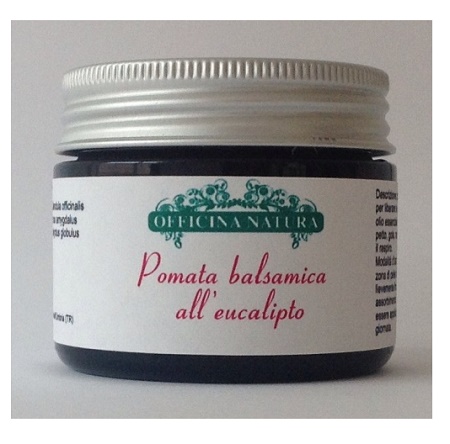 POMATA BALSAMICA EUCALIPTO 50G