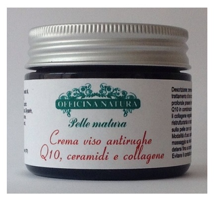 CREMA VISO ANTIR Q10/CE/CO VEG