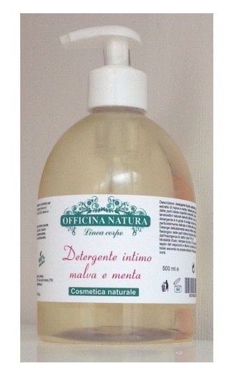 DETERGENTE INT MALVA/MENT 250G