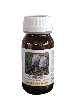 DR POCK COPRINUS 50CPS