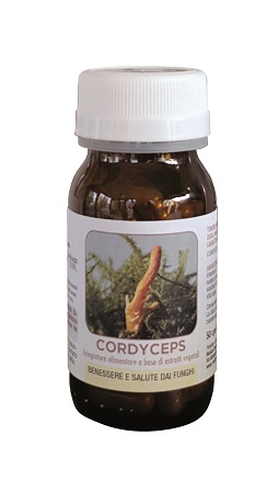 DR POCK CORDYCEPS 50CPS