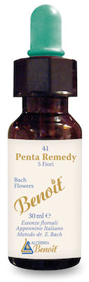 PENTA REMEDY BENOIT 30ML