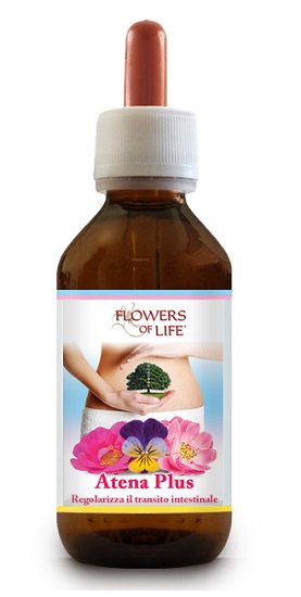 ATENA PLUS 100ML FLOWERS OF LI