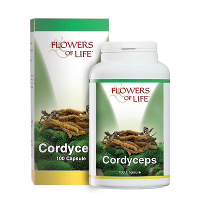 CORDYCEPS 100CPS FLOWERS OF LI