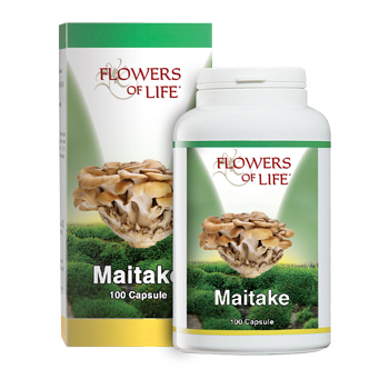 MAITAKE 100CPS FLOWERS OF LIFE