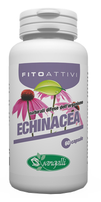 FITOATTIVI ECHINACEA 60CPS