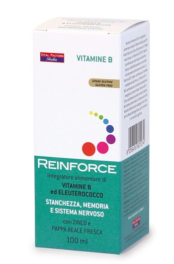 REINFORCE VITAMINA B 100ML