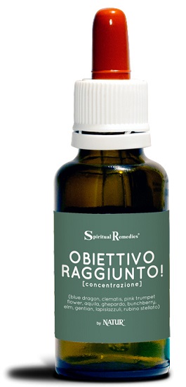 OBIETTIVO RAGGIUNTO CONC NAT M