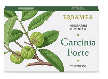 GARCINIA FORTE 30CPR