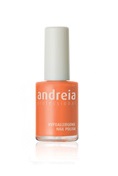 ANDREIA 138 SMALTO POCK 10,5ML