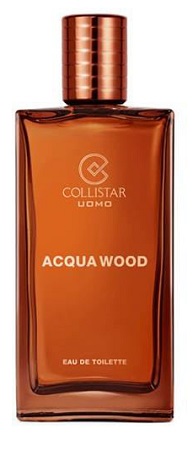 ACQUA WOOD EDT UOMO 100ML