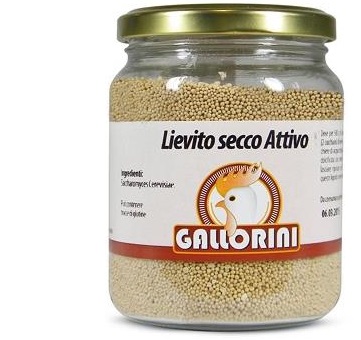 GALLORINI LIEVITO SECCO ATTIVO