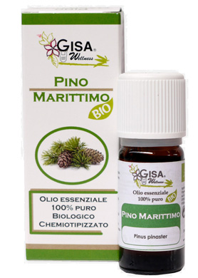 PINO MARITTIMO BIO 10ML