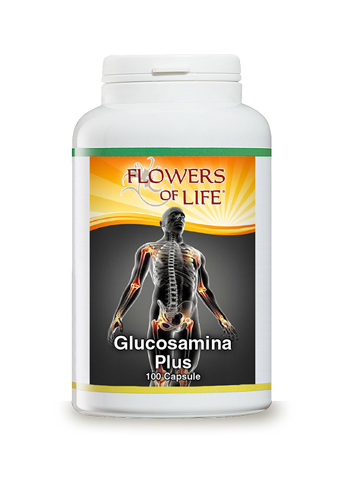 GLUCOSAMINA PLUS 100CPS FLOWE