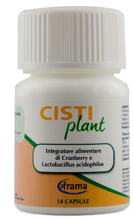 CISTIPLANT 14CPS 9G