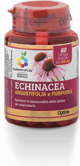 ECHINACEA 60CPS COLOURS