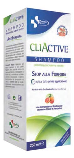 CLIACTIVE SH ANTIFORF 250ML