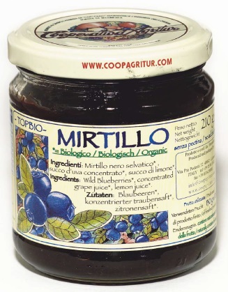 TOPBIO COMPOSTA MIRTILLO 210G