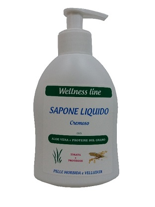 SAPONE LIQUIDO ALOE VERA 250ML