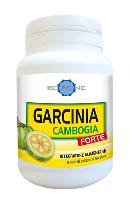 GARCINIA CAMBOGIA FORTE 60CPS