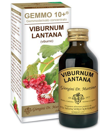 VIBURNO LIQ ANALCOLICO 100ML