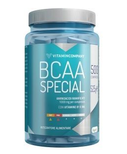 BCAA SPECIAL 500CPR