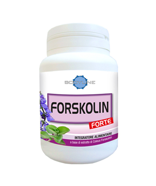 FORSKOLIN FORTE 60CPS