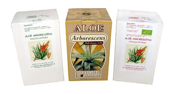 SUCCO ALOE ARBORES 1000ML