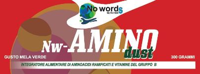 NW-AMINO DUST 300G