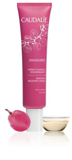 VINOSOURCE FONDENTE NUTR 40ML