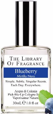 BLUEBERRY FRAGRANCE 30ML